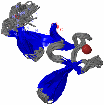 Image NMR Structure - all models