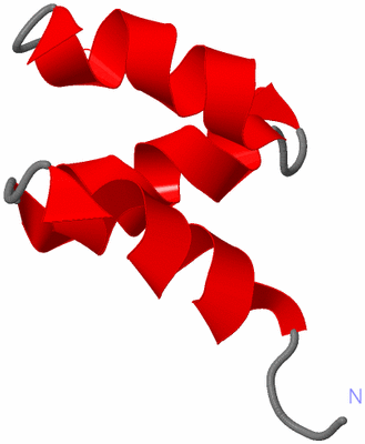 Image NMR Structure - model 1