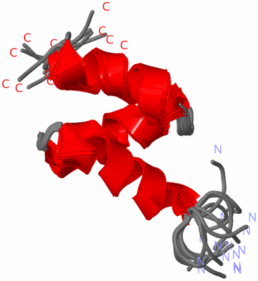 Image NMR Structure - all models