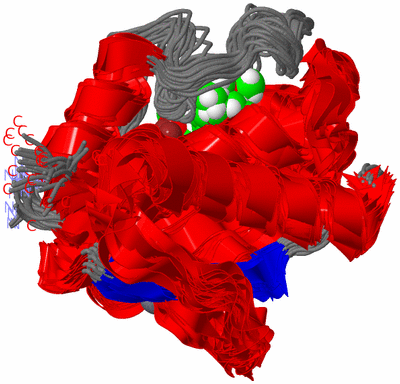 Image NMR Structure - all models