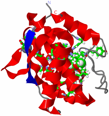 Image NMR Structure - model 1, sites