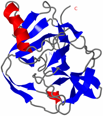 Image NMR Structure - all models