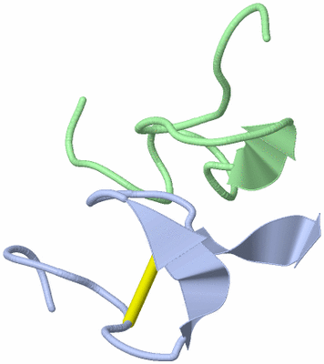 Image NMR Structure - model 1