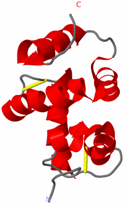 Image NMR Structure - model 1