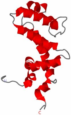 Image NMR Structure - model 1