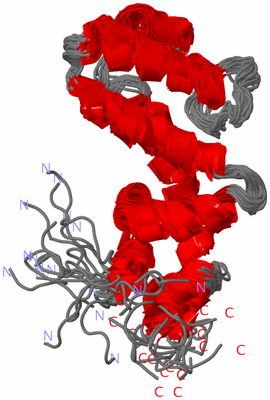 Image NMR Structure - all models