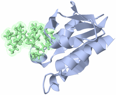 Image NMR Structure - model 1