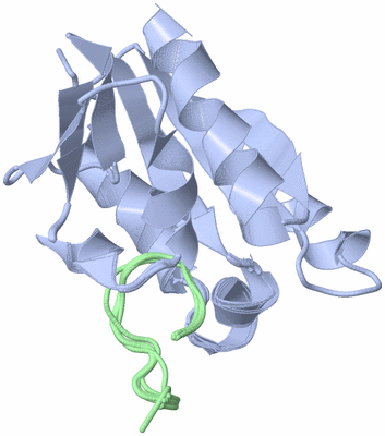 Image NMR Structure - all models