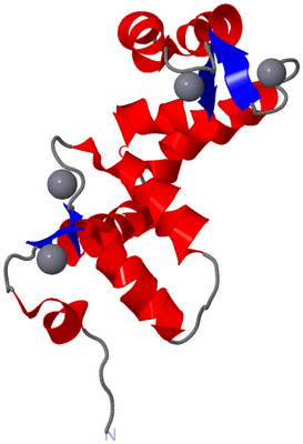 Image NMR Structure - model 1