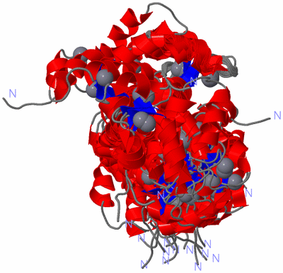 Image NMR Structure - all models