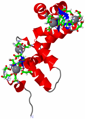 Image NMR Structure - model 1, sites