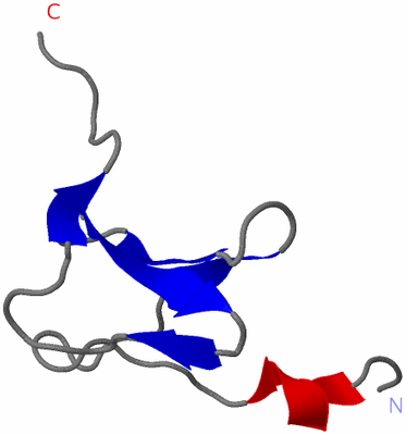 Image NMR Structure - model 1