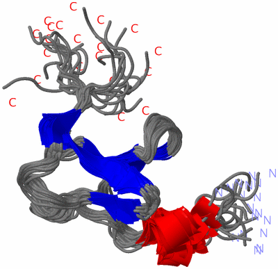 Image NMR Structure - all models