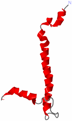 Image NMR Structure - model 1