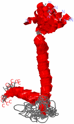 Image NMR Structure - all models