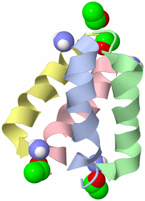 Image NMR Structure - model 1