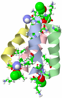 Image NMR Structure - model 1, sites