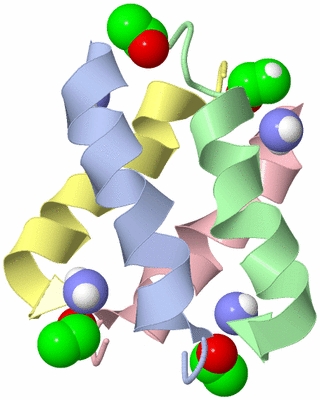 Image NMR Structure - model 1