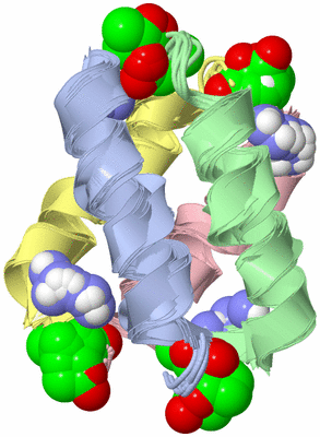 Image NMR Structure - all models