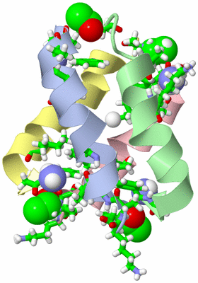 Image NMR Structure - model 1, sites