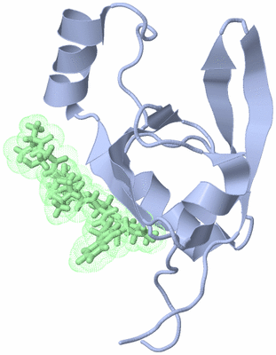 Image NMR Structure - model 1