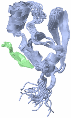 Image NMR Structure - all models