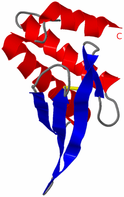 Image NMR Structure - model 1