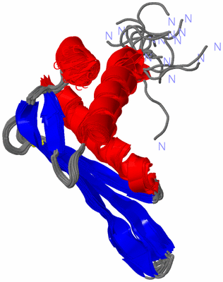 Image NMR Structure - all models