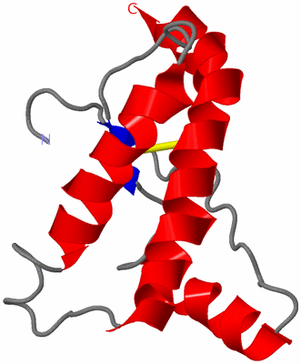 Image NMR Structure - model 1