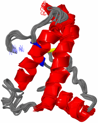 Image NMR Structure - all models