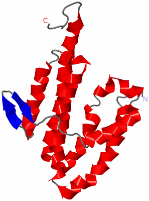 Image NMR Structure - model 1