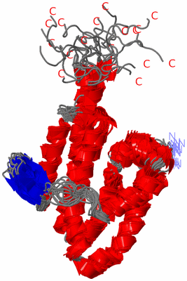 Image NMR Structure - all models