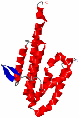 Image NMR Structure - model 1