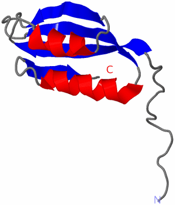 Image NMR Structure - model 1