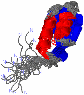 Image NMR Structure - all models