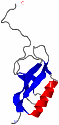 Image NMR Structure - model 1