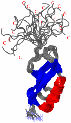 Image NMR Structure - all models