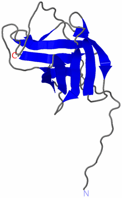Image NMR Structure - model 1