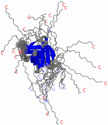 Image NMR Structure - all models