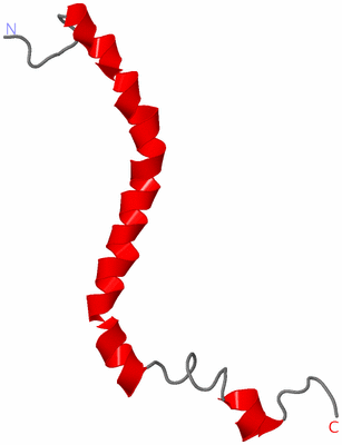 Image NMR Structure - model 1