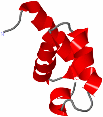 Image NMR Structure - model 1