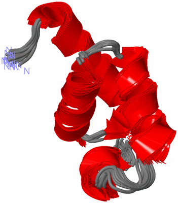 Image NMR Structure - all models