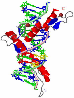 Image NMR Structure - model 1