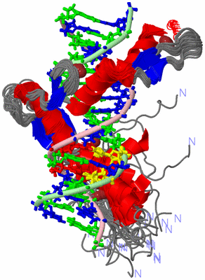 Image NMR Structure - all models