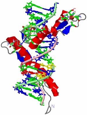 Image NMR Structure - model 1, sites