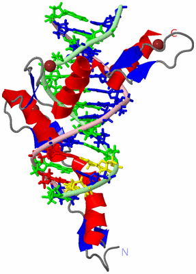 Image NMR Structure - model 1