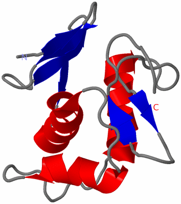 Image NMR Structure - model 1