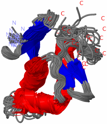 Image NMR Structure - all models