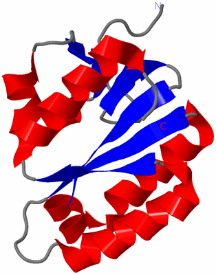 Image NMR Structure - model 1