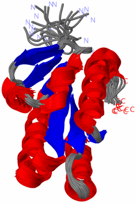 Image NMR Structure - all models